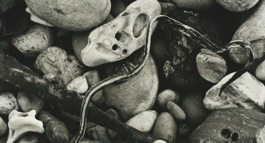 Natural Abstraction Brett Weston and His Contemporaries
